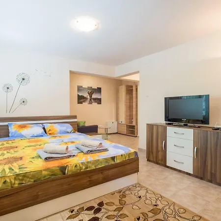 Apartment Affordable, Clean, Spacious Studio In Center *