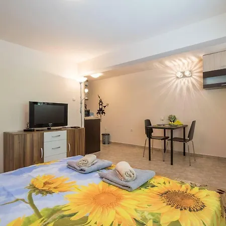 Affordable, Clean, Spacious Studio In Center Appartamento Sofia